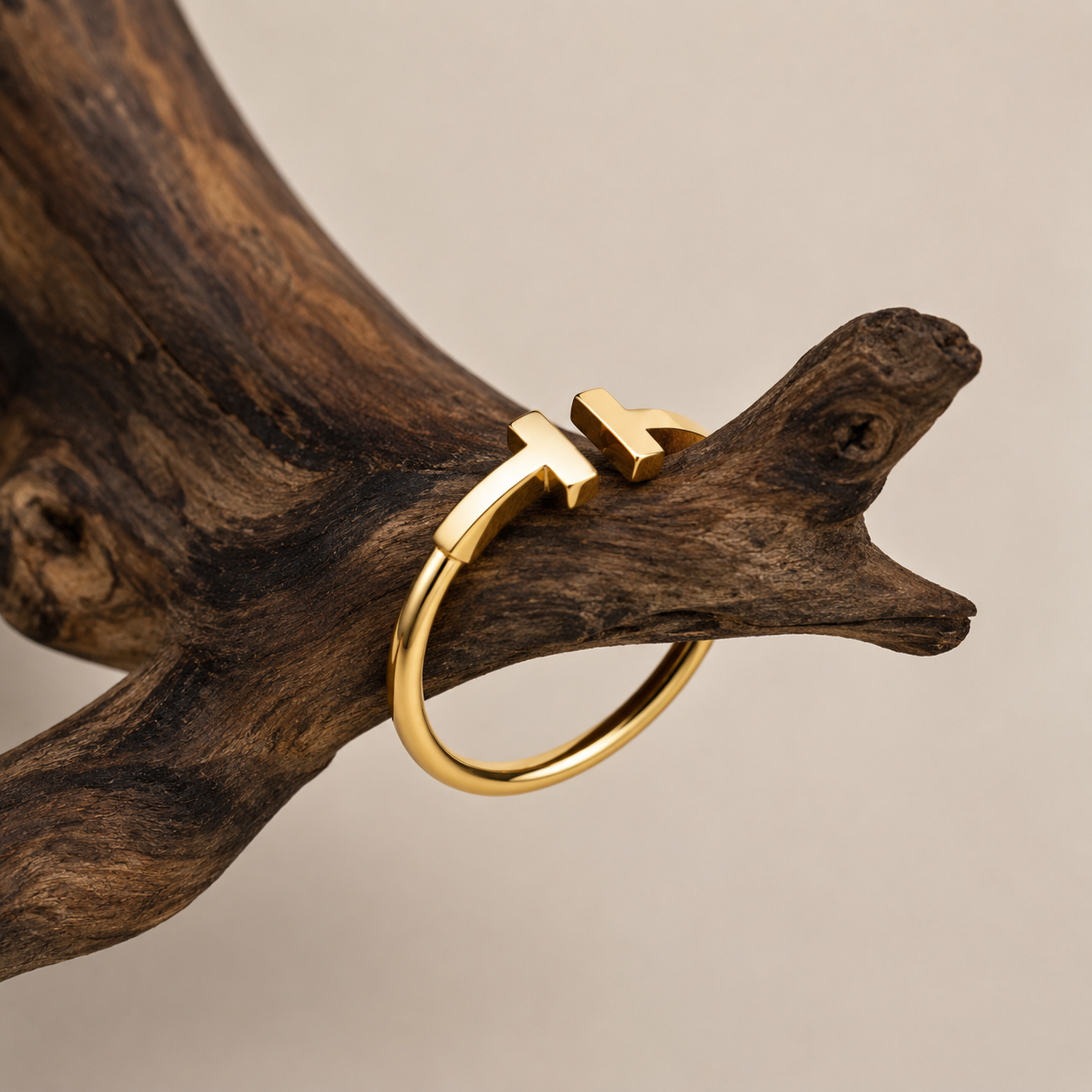 Anillos