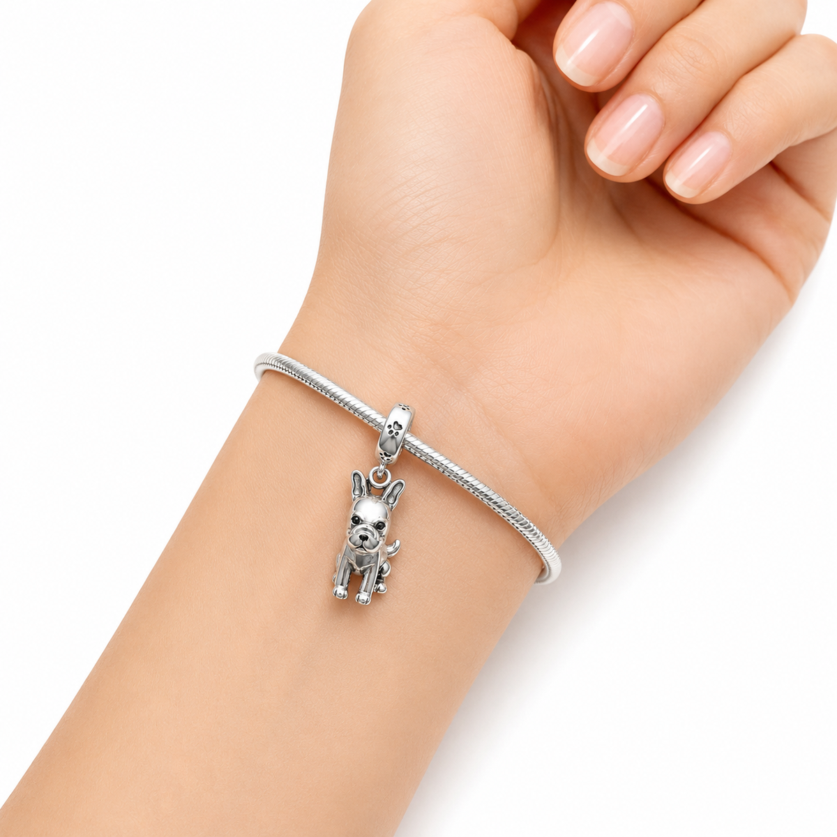 Charm Bulldog Frances Plata Ley .924