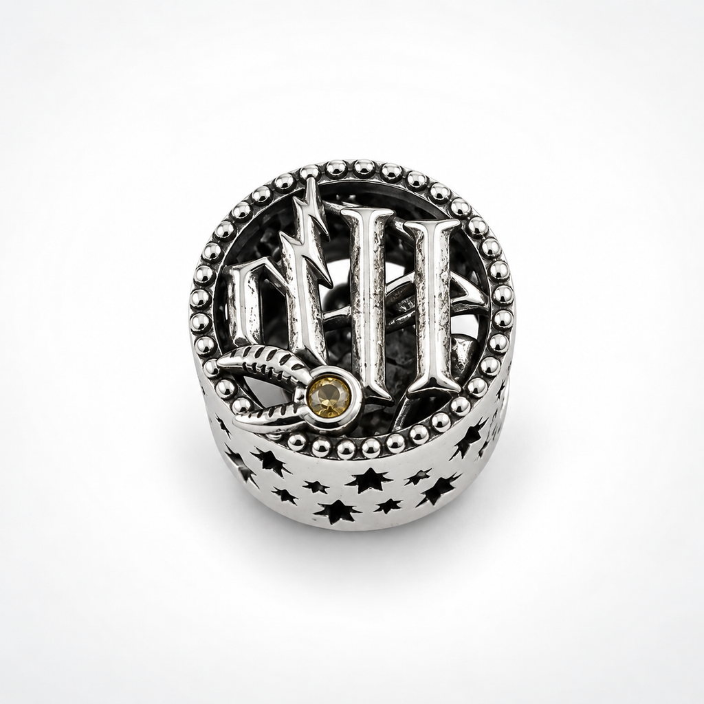 Charm Harry Potter Plata Ley .925