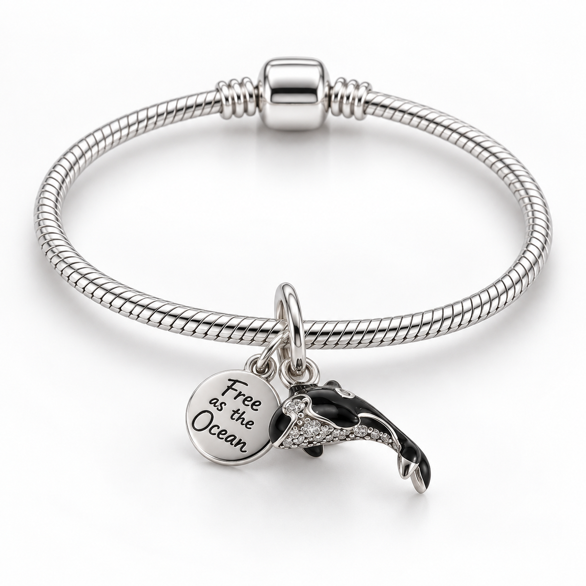 Charm Orca Plata Ley .925